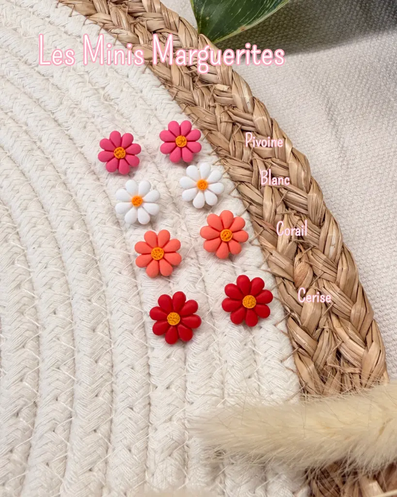 Publication Insta 2.0 (1).webp