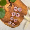 Pampilles Printemps - Edition Limitée