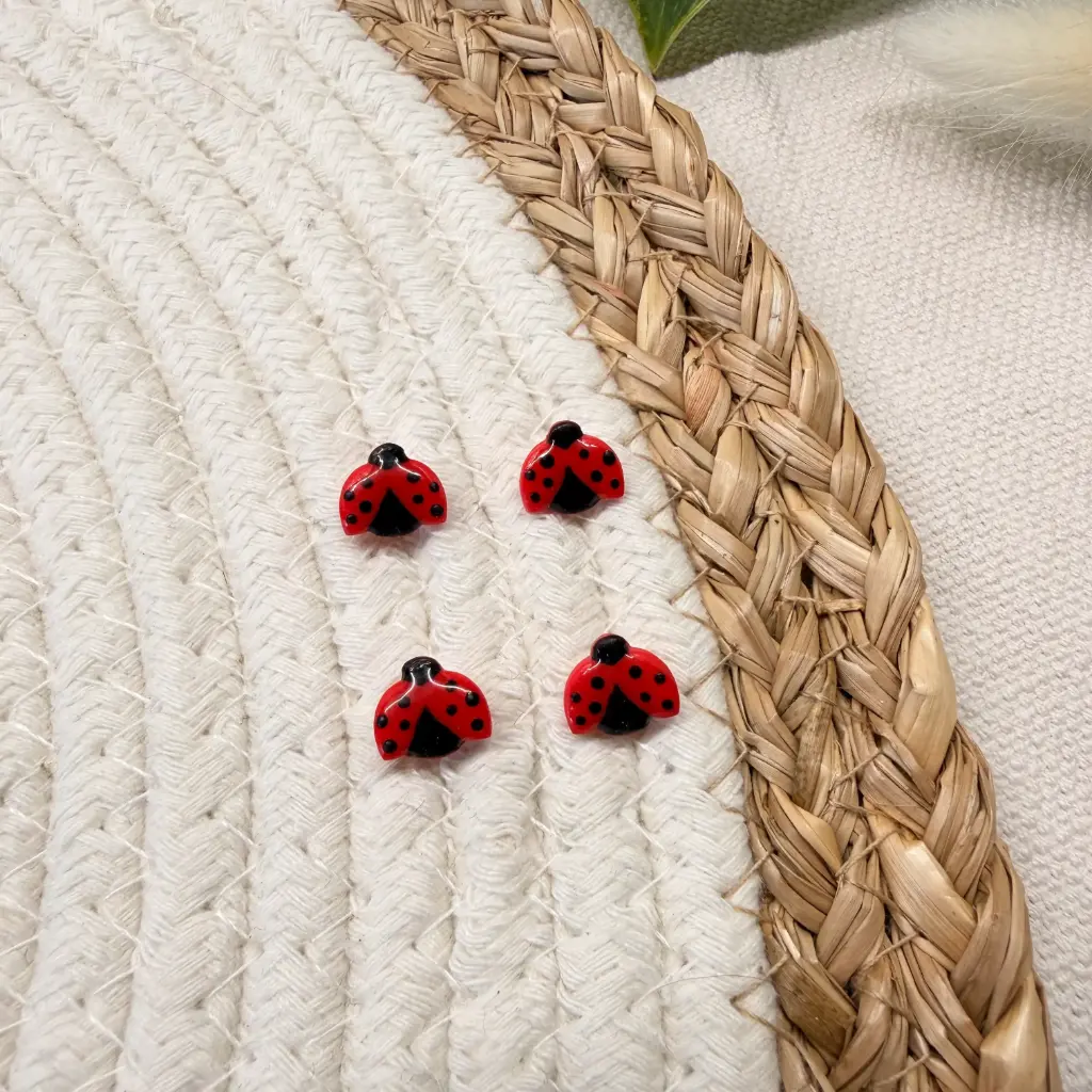 Collection Printemps : Les Coccinelles 
