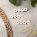 Collection Printemps : Les Barrettes 