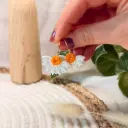 Collection Printemps : Les Demi-Fleurs 