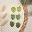 Collection Canopée : Feuilles de Monstera  