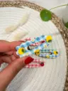 Jardin Sucré : Les Barrettes