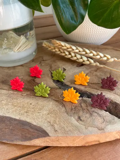 Puces feuilles d'érables
