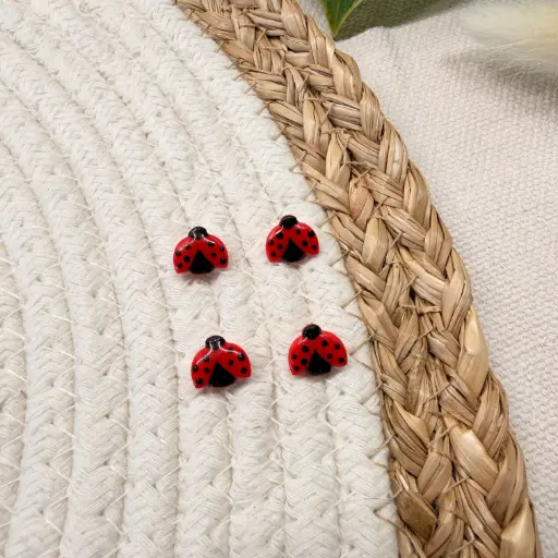 Collection Printemps : Les Coccinelles 